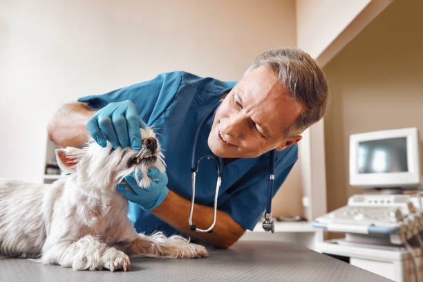 Best Emergency Tooth Extraction in Mount Holly, NC
